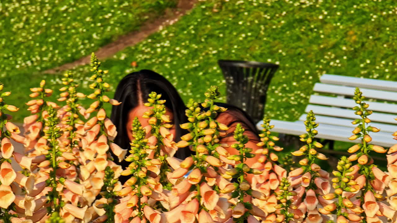 Outdoor flowers photo session Foxgloves bell shape plants colorful