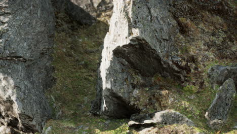 cerca de la formación de piedras rocosas