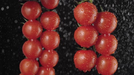 fresh cherry tomatoes with water drops