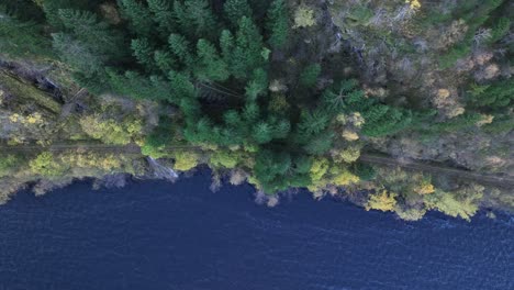 Norwegens-Küstenstraße,-Filmische-Luftaufnahme-Von-Oben-Nach-Unten-über-Baumwipfeln,-Vaksdal-Norwegen