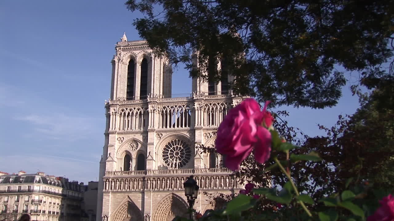 Notre Dame'daki Gargoyle