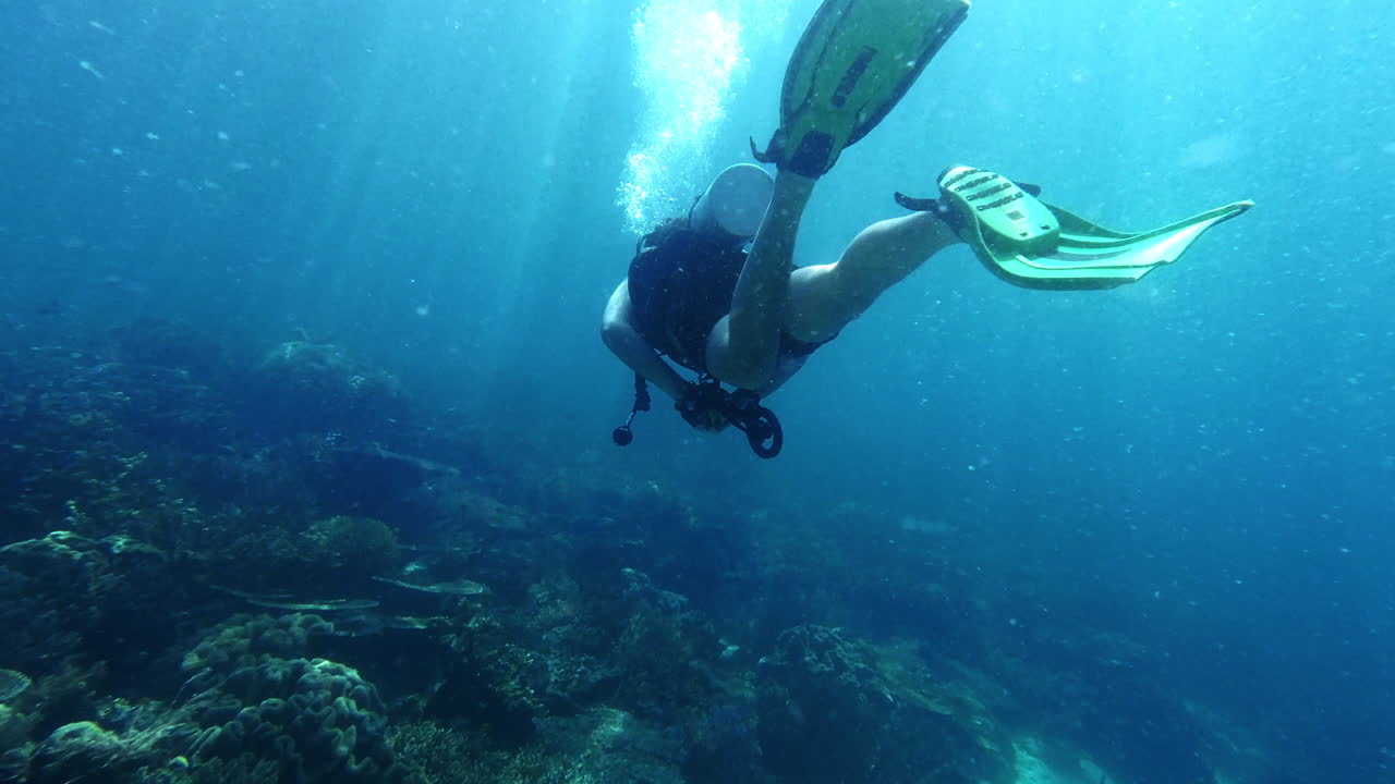 ¿qué vistas nos mostrará el mar hoy?