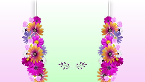 animación de flores coloridas que crecen en un marco con un espacio central de copia verde pálido, en rosa pálido