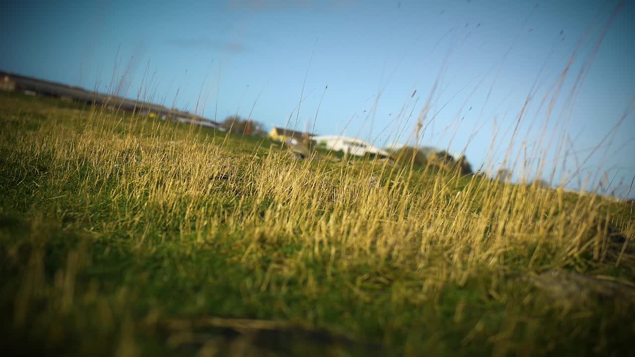 보기에 dremy 들판