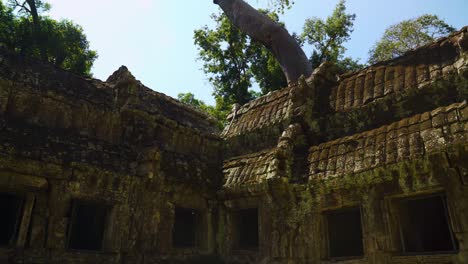 ta prohm temple ruins, siem reap, cambodia