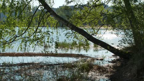 paisaje de la orilla del lago saimaa en lappeenranta, finlandia