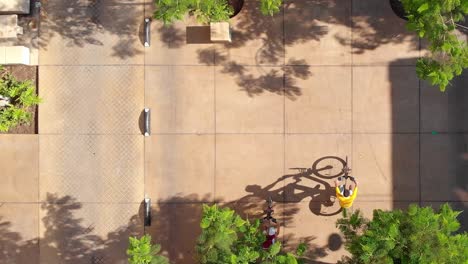 people cycling on streets in a residential area - top down aerial view with green tree branches