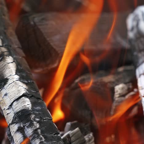 close up of outdoor bonfire