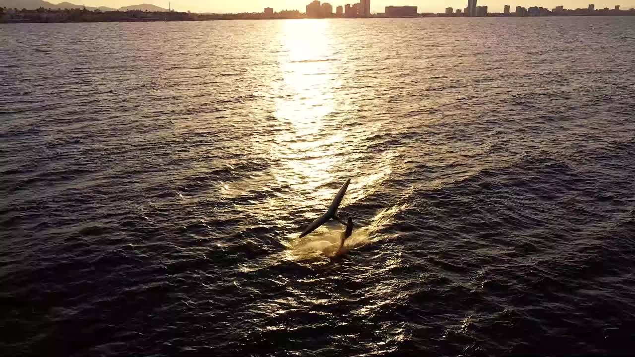 스포츠맨 핸드헬드 카이트 및 연습 카이트서핑 일몰 시 스페인 바르셀로나 바다경관