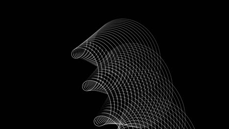 espirales de líneas blancas
