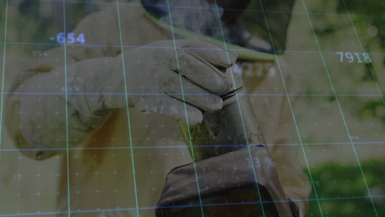 Agricultural beekeeper lifting lid and pumping bellows, generating white smoke for calming bees