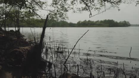 Shot-lake-in-the-middle-of-an-area-with-trees-and-vegetation-around-it