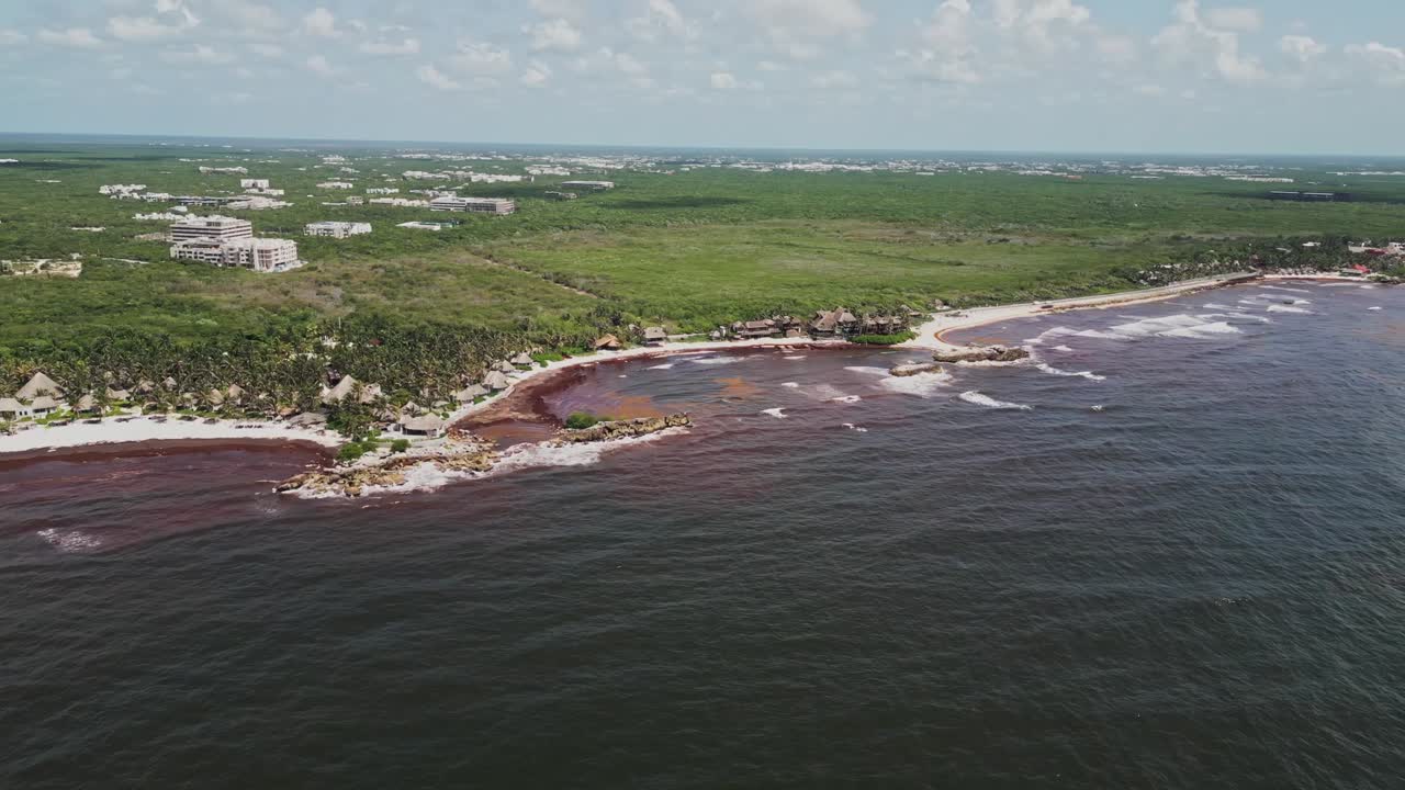 Aerial view of a tropical coastline overtaken by dark sargassum seaweed, showing white sand beaches, resorts, and dense shoreline vegetation affected by marine algae pollution