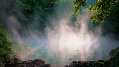 misty hot spring in a forest