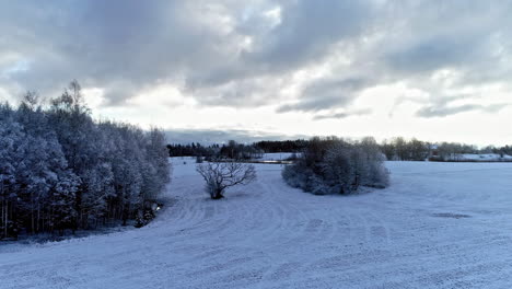 Vista-Aérea-Sobre-El-Bosque-De-Pinos-Prístinos-Cubiertos-De-Nieve-Con-La-Vista-De-Estanques-En-El-Fondo-En-Una-Noche-Nublada