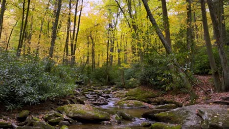 aéreo lento empujar hasta goshen creek cerca de boone y soplando roca nc, carolina del norte con brillante color de hojas de otoño en otoño