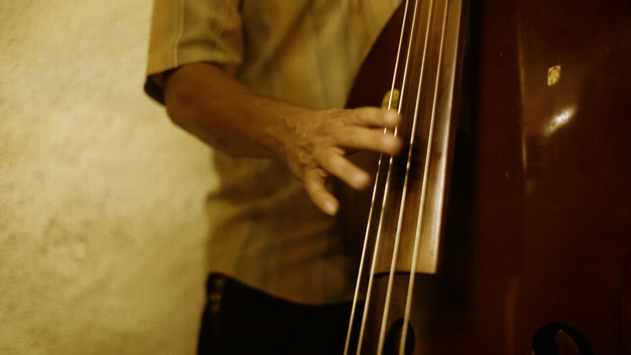 環保加勒比群島的環境環境 57