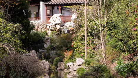 cerca de una cascada y un arroyo pacíficos en un jardín botánico fuera de un templo chino