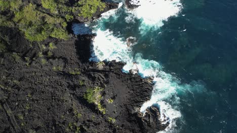 aerial: recent black lava flowed through green jungle to ocean shore