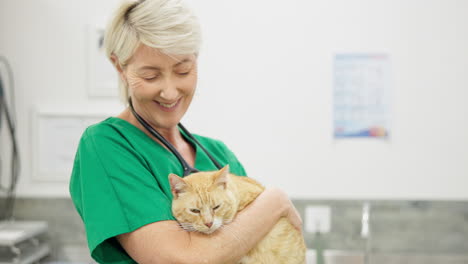 veterinario, médico y gato con abrazos para la atención médica