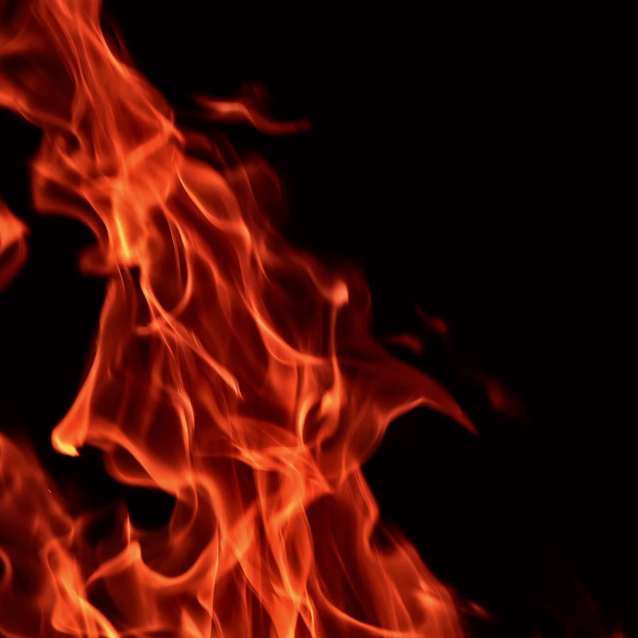 Red fire flames dancing in the darkness. Beautiful hypnotic view of the campfire close up