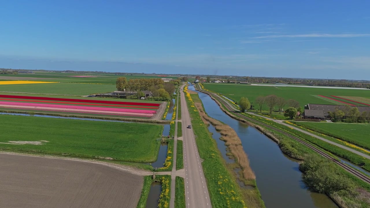 Damptog kører gennem hollandske tulipanmarker og landskab