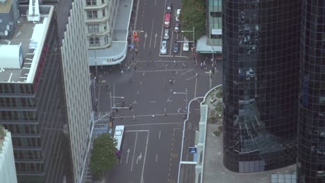 pedestrians crossing road