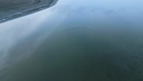 Birds-flying-over-calm-lake