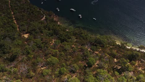 Point-Walter-Australia-Luftdrohne-Schwenkt-Durch-Bäume-Hinunter-Zum-Fluss