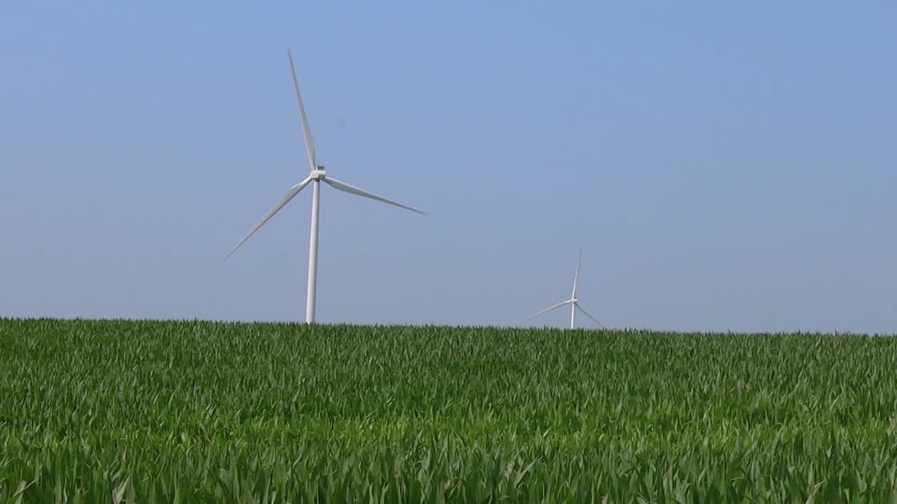 미국 중심부의 아이오와 옥수수밭 위에 거대한 풍력 터빈이 있는 깨끗하고 맑은 날