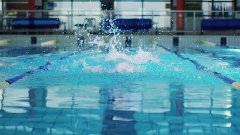 swimmer training in a swimming pool