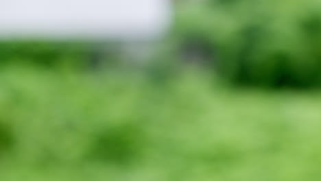 Dripping-water-forms-droplets-as-it-falls-into-a-container-filled-with-water,-against-a-green-background-of-trees-and-bushes