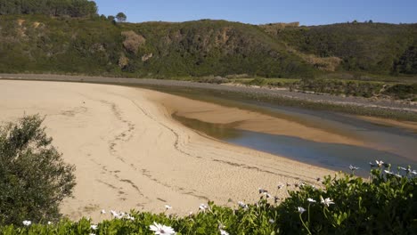 praia de odeceixe beach in costa vicentina, portugal