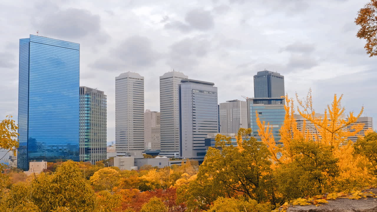 전경에 노란 나무가 있는 도시의 스카이라인을 보여주는 패닝 샷