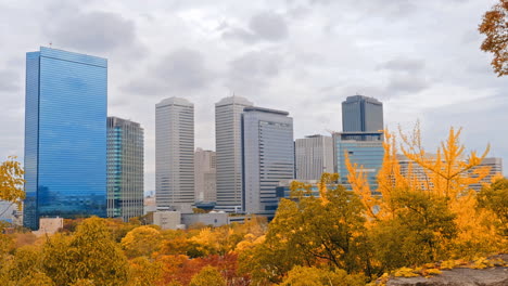 panning shot that reveals the skyline of a city with yellow trees in the foreground