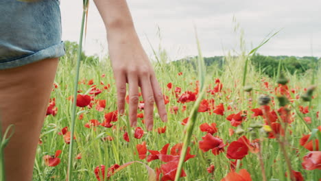 a-female-walking-through-a-field