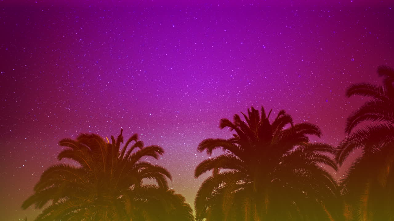 카나리아 제도 스타 타임 스 - 나무와 함께