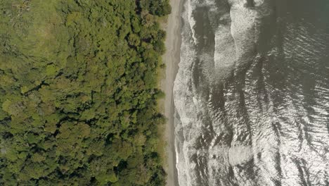 Toma-Aérea-De-Pájaros-De-Acacia-Y-árboles-Verdes-Al-Lado-De-La-Playa-Con-Olas---Punta-Mona,-Costa-Rica