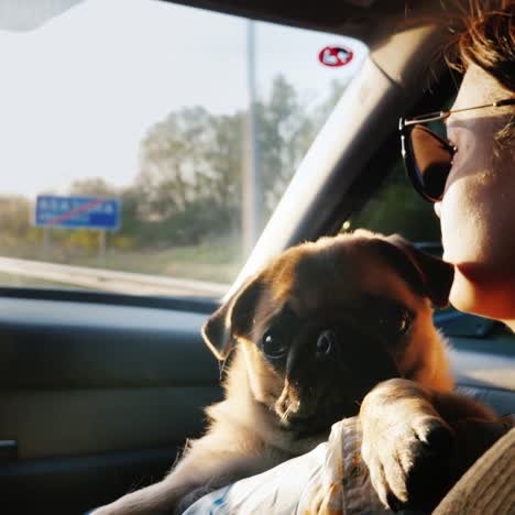 una mujer conduce con un perro en un coche 1