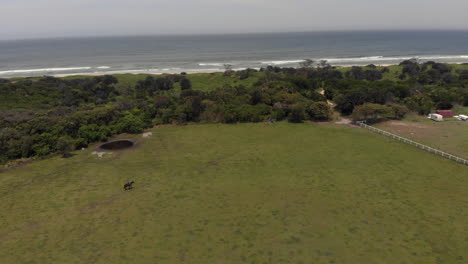 Person-Auf-Dem-Pferd-Reitet-Durch-Die-Koppel-Mit-Herrlichem-Strand-Im-Hintergrund