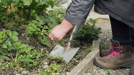 seasonal works in the garden. landscape design. landscaping