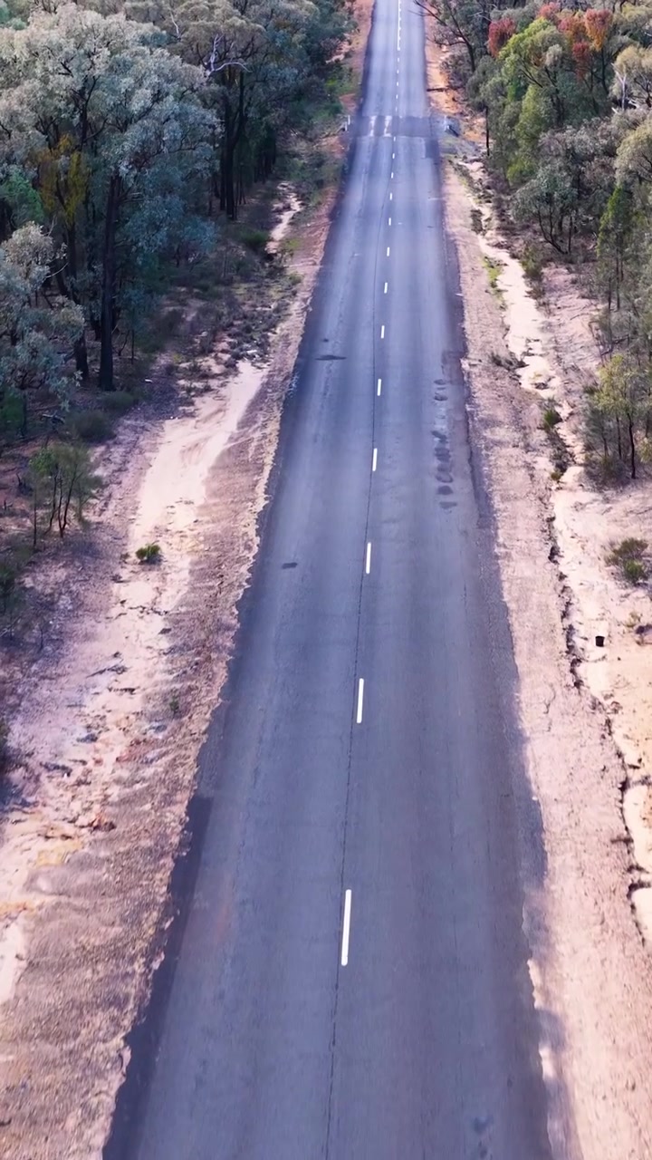 Ripresa aerea con drone dall'alto di una strada remota nell'outback australiano, circondata da fitti alberi di eucalipto