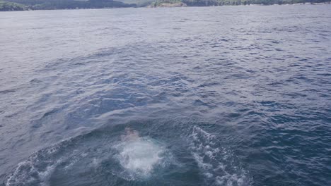 The-man-running-from-the-rocks-and-jumping-into-the-sea.