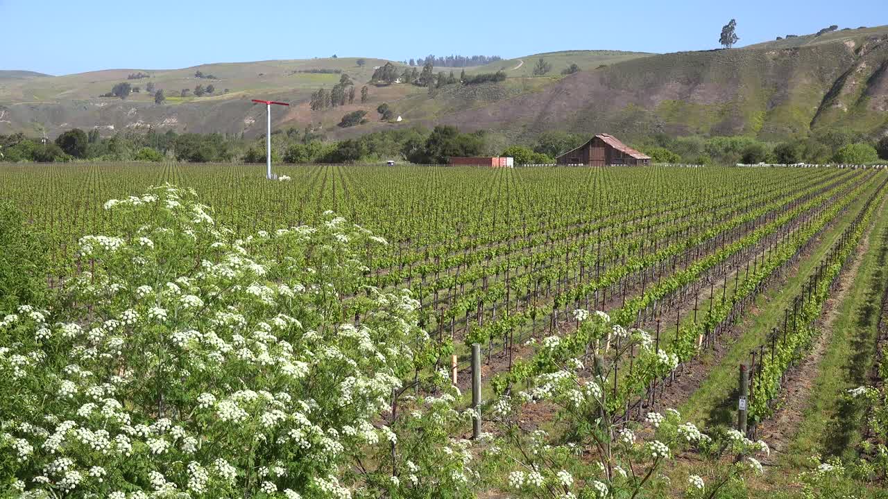 toma de establecimiento de un pintoresco campo y granero en el valle de santa ynez viña de santa bárbara california