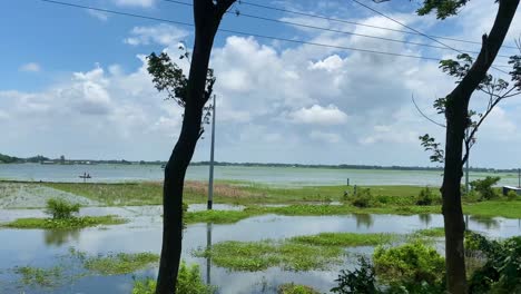 Pov-Pasando-Por-Campos-De-Arroz-Parcialmente-Inundados-Cerca-Del-Río-En-Sylhet,-Bangladesh