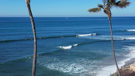 Drone-shot-panning-down-through-Palm-Trees-revealing-Surfers-surfing-in-Southern-California