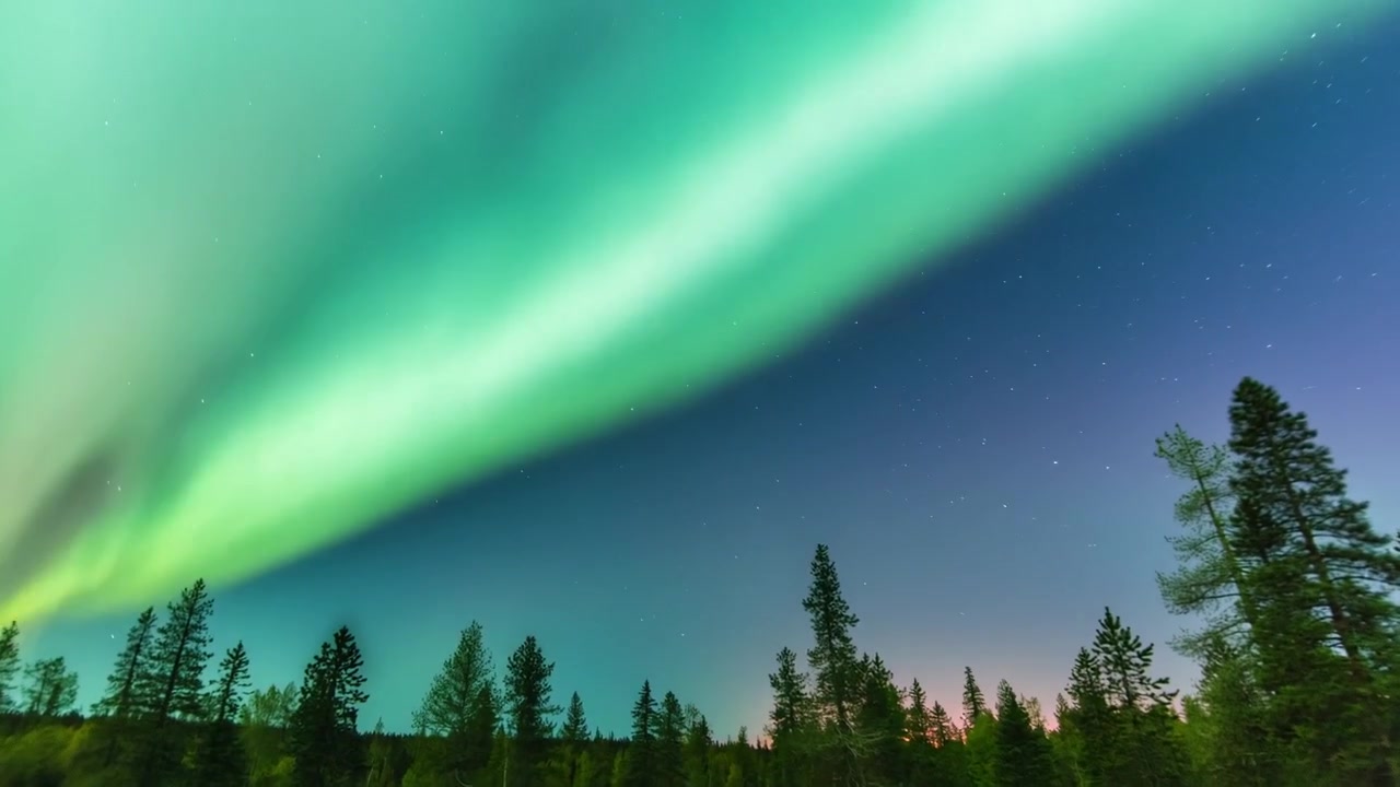 Aurora boreale cangiante che si estende sopra la linea degli alberi di pino nel cielo notturno, attivata da un nastro verde in arrivo
