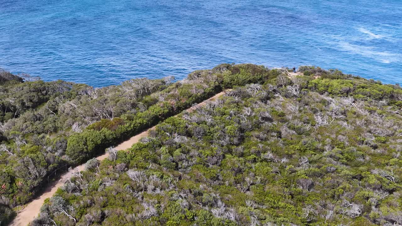 Drone glides above winding coastal trail, dense green bush, and blue ocean under bright daylight