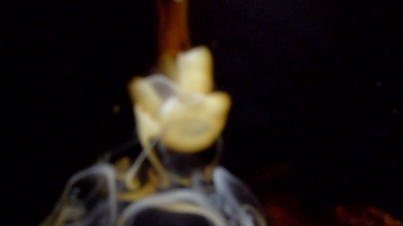 커피를 부는 세부 사항