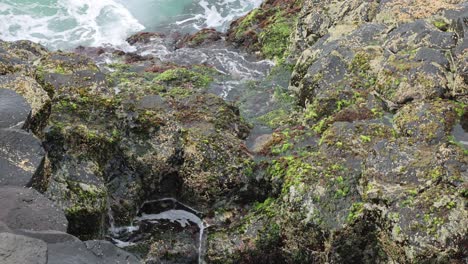 dynamic ocean waves hitting a mossy, rocky coastline